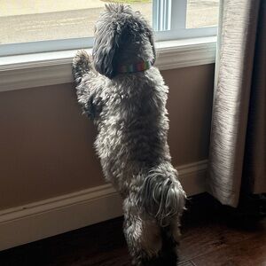 Meet your Posher, Mary